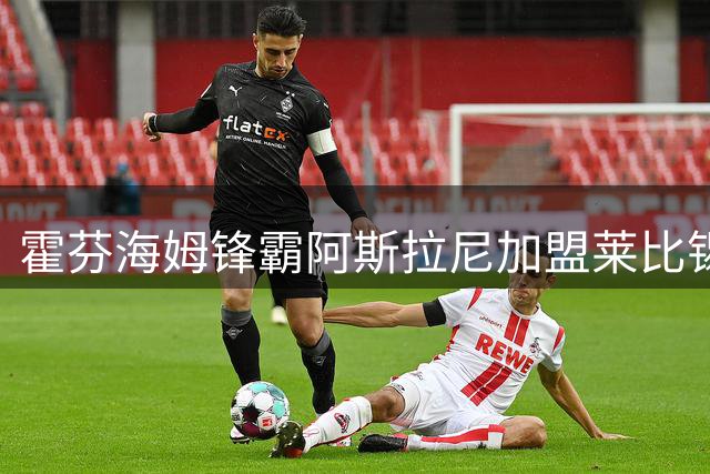 霍芬海姆锋霸阿斯拉尼加盟莱比锡 2500万欧锁定未来核心