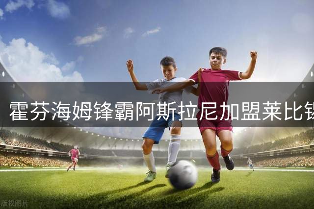 霍芬海姆锋霸阿斯拉尼加盟莱比锡 2500万欧锁定未来核心